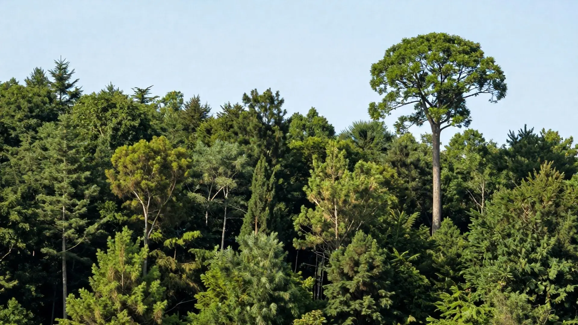 위험 분산과 미래 준비: 우리가 대만에게 배워야 할 것