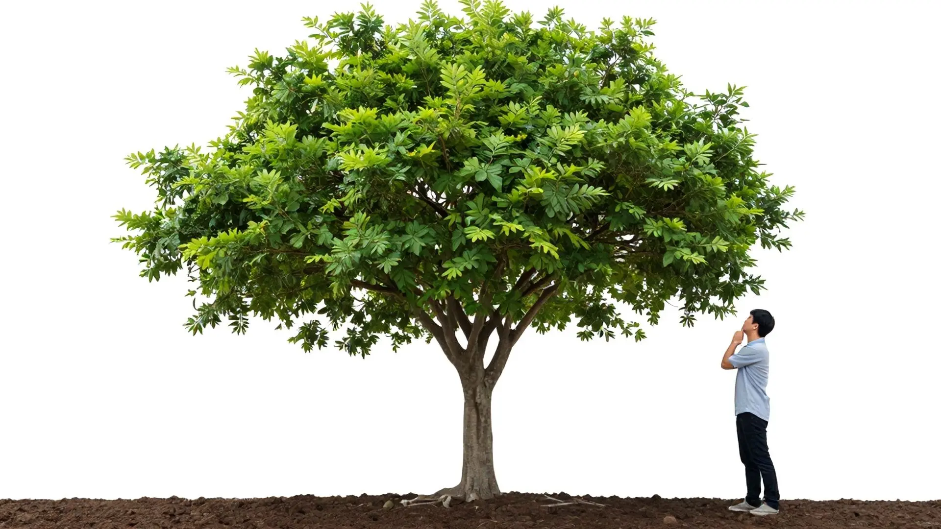 1. 투자의 첫걸음, 당신의 10년 후를 바꿀 단 하나의 선택