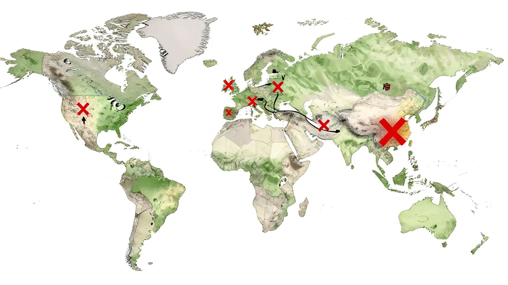 탈중국 광산 연합군의 현실: 험난한 참호전