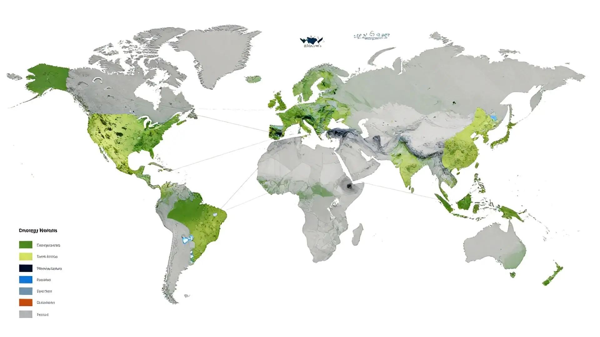 전쟁 경제학과 글로벌 시장의 연관성