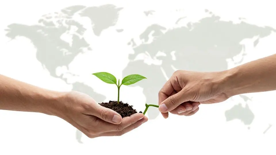 결론: 경제적 신뢰와 정책적 의사 결정의 중요성