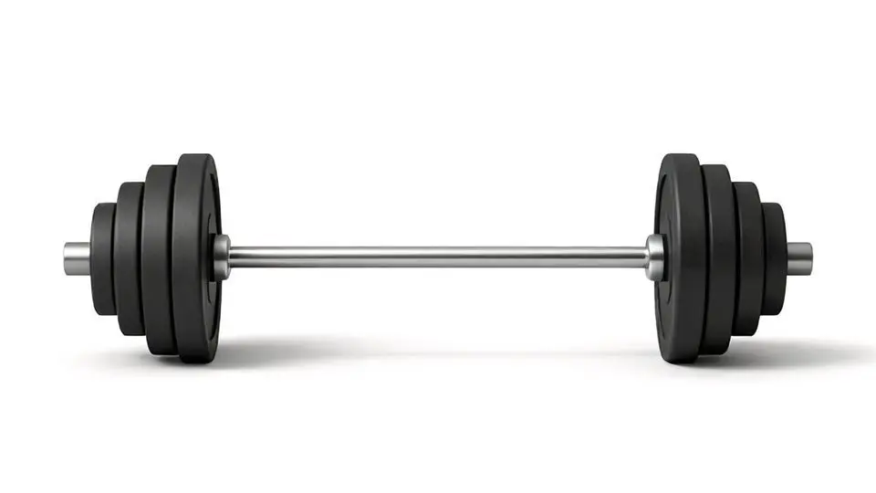 4. 무빈소 장례와 시장의 양극화: 새로운 선택의 시대