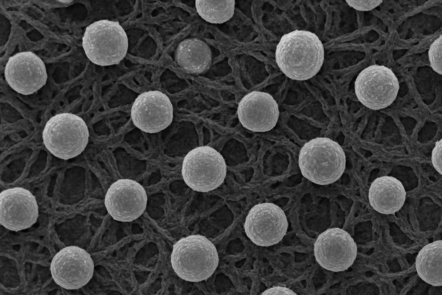 ⚙️ 백금 대체 루테늄 촉매의 경제적 해법