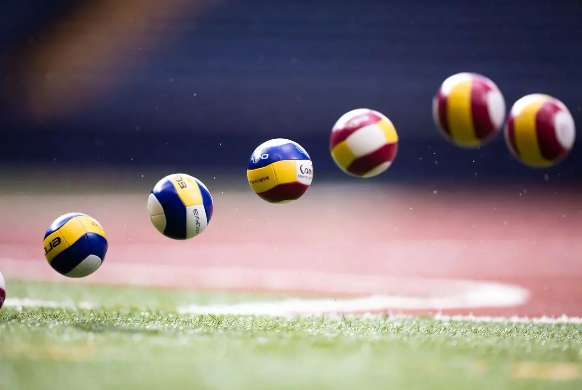 🔍 죽은 고양이의 반등: 데드캣 바운스란?