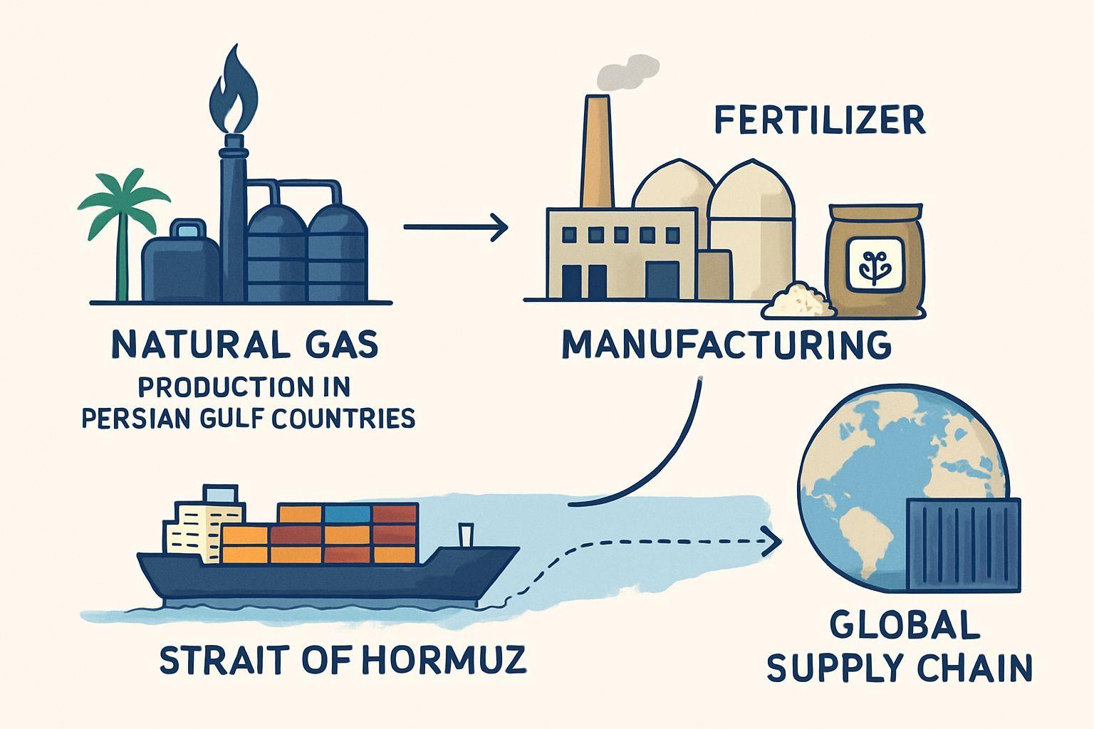 ⚙️ 비료와 천연가스의 숨은 연결고리